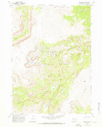 Ink Wells 1968 topographic map thumbnail