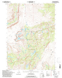 Ink Wells 1991 topographic map thumbnail