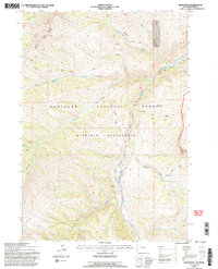 Irish Rock 1991 topographic map thumbnail