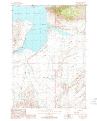 Irma Flats 1987 topographic map thumbnail
