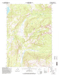 Joy Peak 1996 topographic map thumbnail
