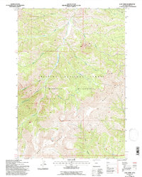 Lake Creek 1991 topographic map thumbnail