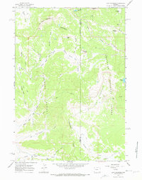 Lava Mountain 1965 topographic map thumbnail