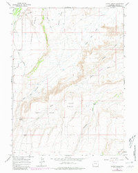 Leavitt Bench 1964 topographic map thumbnail