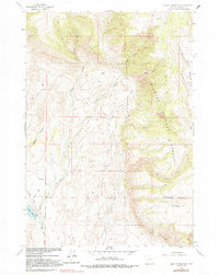 Leavitt Reservoir 1960 topographic map thumbnail