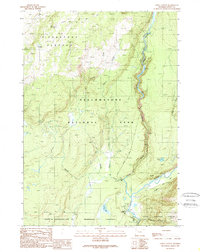 Lewis Canyon 1989 topographic map thumbnail