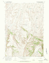Lightning Ridge 1967 topographic map thumbnail