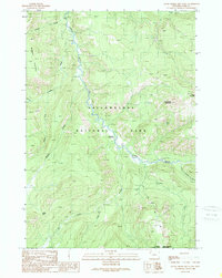 Little Saddle Mountain 1989 topographic map thumbnail