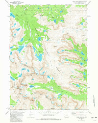 Lizard Head Peak 1981 topographic map thumbnail