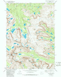 Lizard Head Peak 1981 topographic map thumbnail