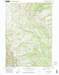 Lookout Mountain 1980 topographic map thumbnail