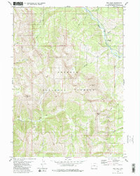 Man Peak 1980 topographic map thumbnail