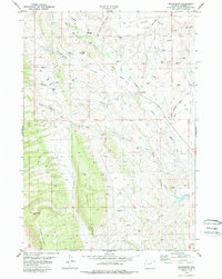 Mayoworth 1979 topographic map thumbnail