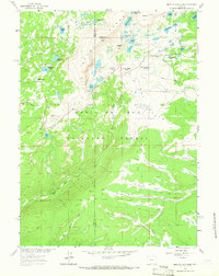 Medicine Bow Peak 1961 topographic map thumbnail