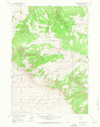 Medicine Wheel 1960 topographic map thumbnail