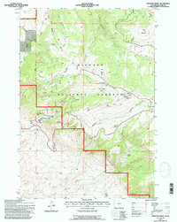 Medicine Wheel 1993 topographic map thumbnail