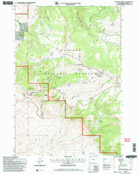 Medicine Wheel 1993 topographic map thumbnail