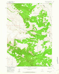 Mexican Hill 1960 topographic map thumbnail