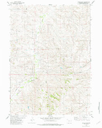Mikes Draw 1981 topographic map thumbnail
