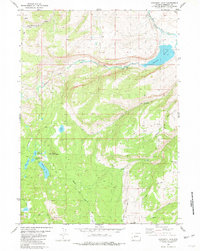 Moccasin Lake 1981 topographic map thumbnail