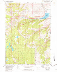 Moccasin Lake 1981 topographic map thumbnail