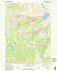Moccasin Lake 1981 topographic map thumbnail
