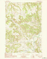 Moore Hill 1984 topographic map thumbnail