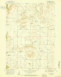 Moore Spring 1951 topographic map preview