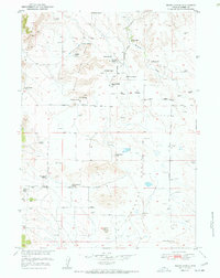 Moore Spring 1951 topographic map thumbnail