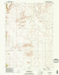 Moore Spring 1990 topographic map thumbnail