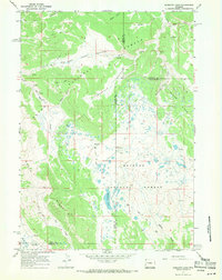Mosquito Lake 1967 topographic map thumbnail