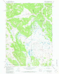 Mosquito Lake 1967 topographic map thumbnail