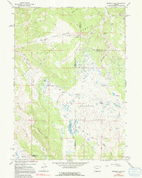 Mosquito Lake 1967 topographic map thumbnail