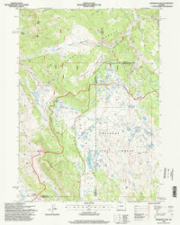 Mosquito Lake 1996 topographic map thumbnail
