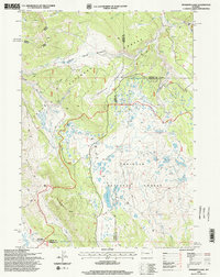 Mosquito Lake 1996 topographic map thumbnail