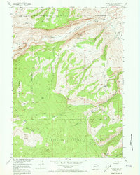 Mount Arter 1953 topographic map thumbnail