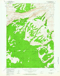 Mount Arter 1953 topographic map preview