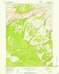 Mount Arter 1953 topographic map preview
