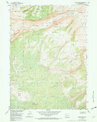 Mount Arter 1953 topographic map thumbnail
