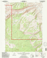 Mount Arter 1991 topographic map thumbnail
