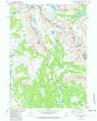 Mount Bonneville 1981 topographic map thumbnail