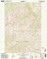 Mount Burwell 1991 topographic map thumbnail