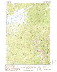 Mount Chittenden 1989 topographic map thumbnail