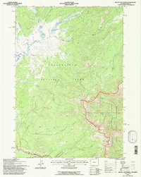Mount Chittenden 1991 topographic map thumbnail