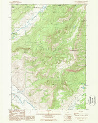 Mount Hornaday 1989 topographic map thumbnail