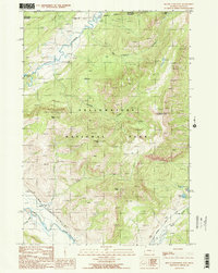 Mount Hornaday 1989 topographic map thumbnail