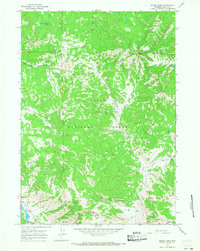 Mount Leidy 1965 topographic map thumbnail