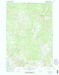 Mount Leidy 1965 topographic map thumbnail