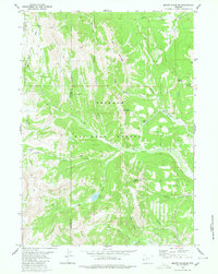 Mount Schidler 1980 topographic map thumbnail