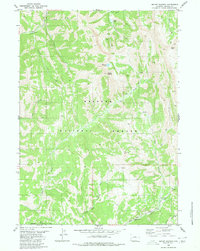 Mount Wagner 1980 topographic map thumbnail